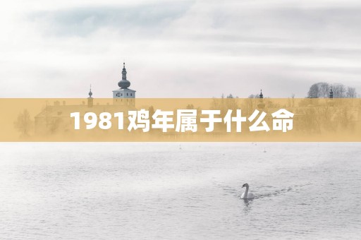 1981鸡年属于什么命