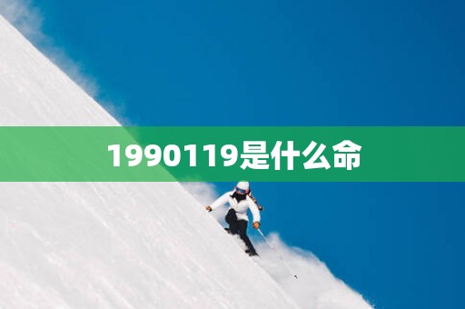 1990119是什么命