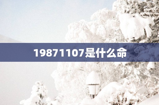 19871107是什么命