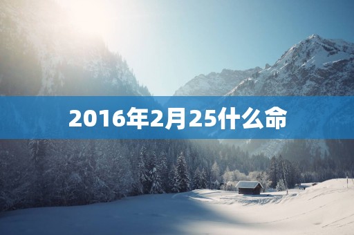 2016年2月25什么命