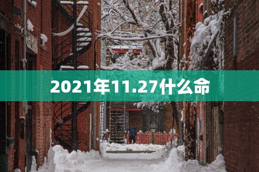 2025年11.27什么命