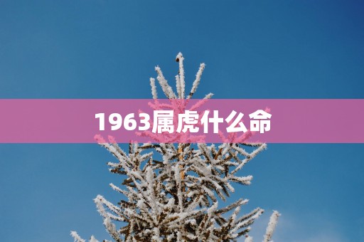 1963属虎什么命