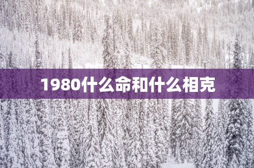 1980什么命和什么相克
