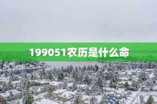 199051农历是什么命