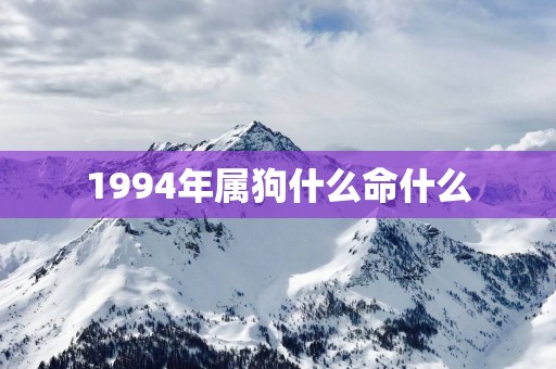 1994年属狗什么命什么