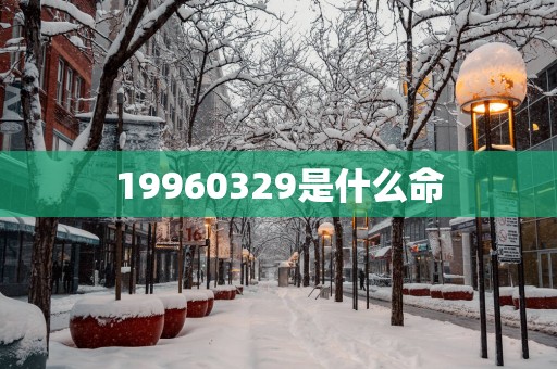 19960329是什么命