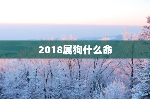 2018属狗什么命