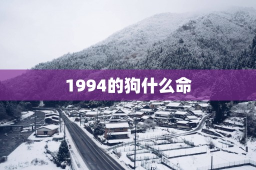 1994的狗什么命