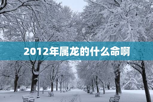 2012年属龙的什么命啊