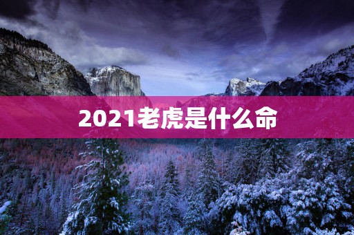 2025老虎是什么命