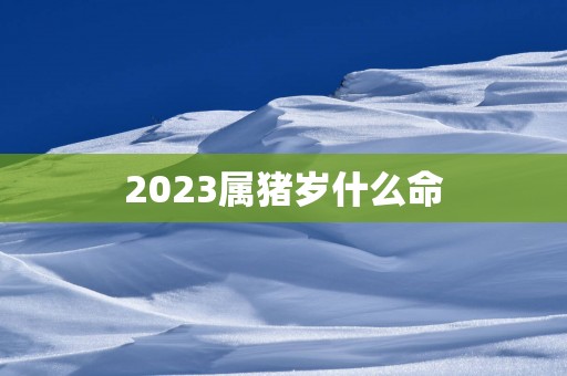 2025属猪岁什么命