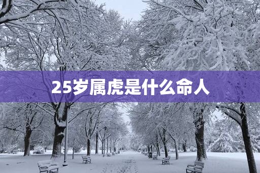 25岁属虎是什么命人
