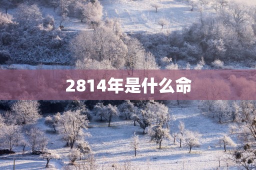 2814年是什么命