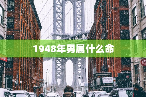 1948年男属什么命
