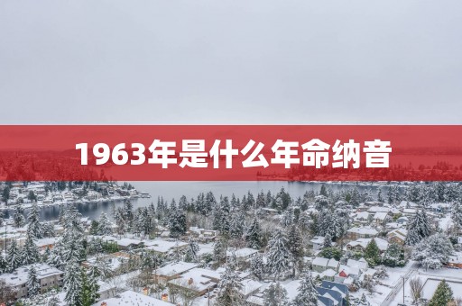 1963年是什么年命纳音