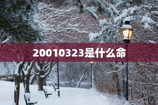 20010323是什么命
