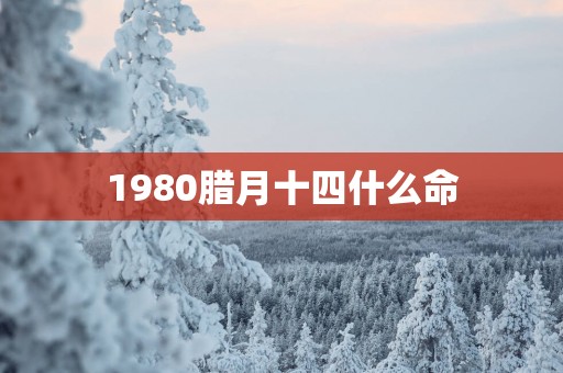 1980腊月十四什么命