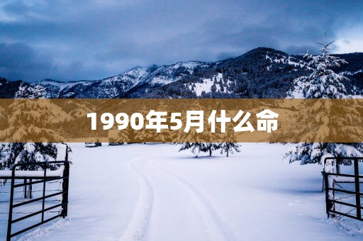 1990年5月什么命