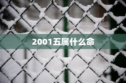 2001五属什么命
