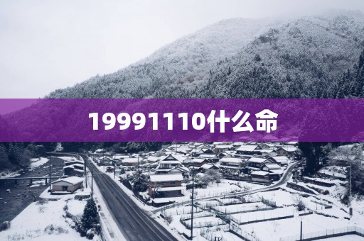 19991110什么命