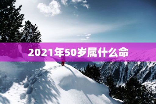 2025年50岁属什么命