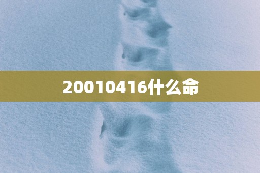 20010416什么命