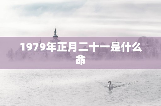 1979年正月二十一是什么命