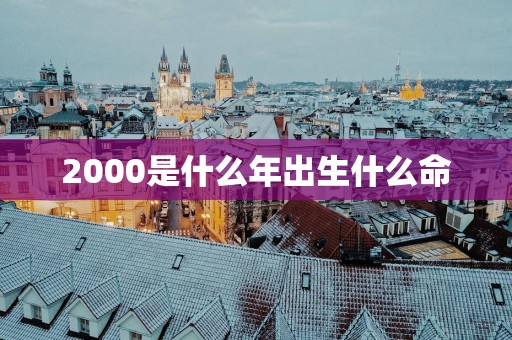 2000是什么年出生什么命