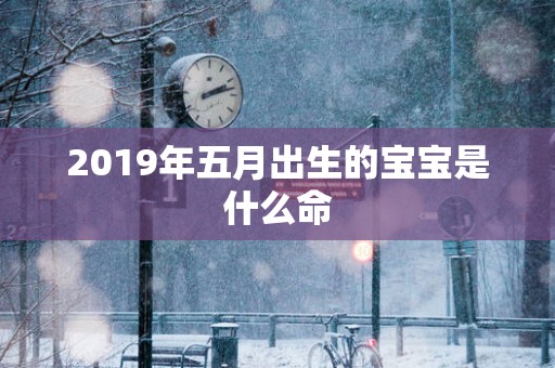 2019年五月出生的宝宝是什么命