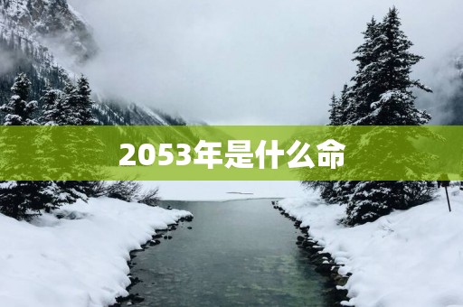 2053年是什么命