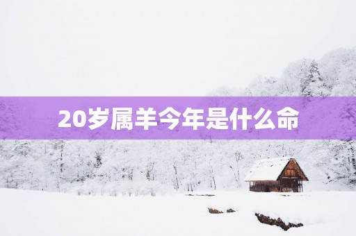 20岁属羊今年是什么命