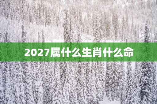 2027属什么生肖什么命