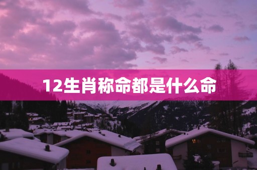 12生肖称命都是什么命