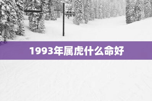 1993年属虎什么命好