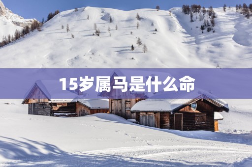 15岁属马是什么命
