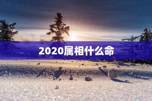 2025属相什么命 2025属相什么命