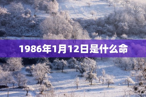 1986年1月12日是什么命