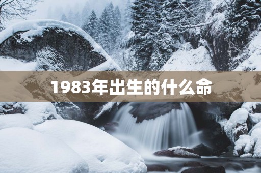 1983年出生的什么命