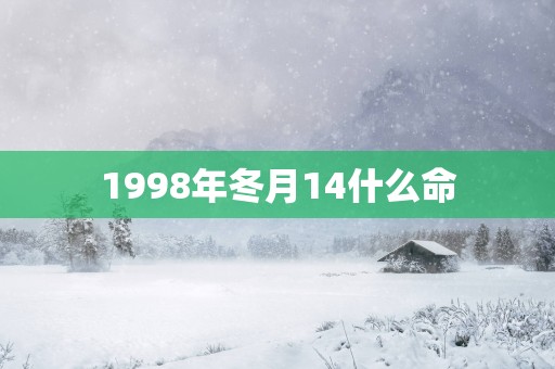 1998年冬月14什么命