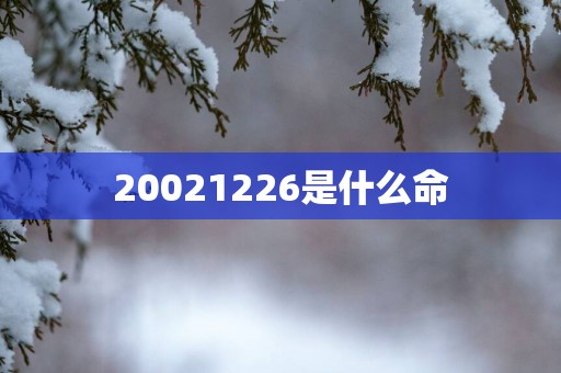 20021226是什么命