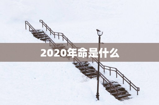 2025年命是什么