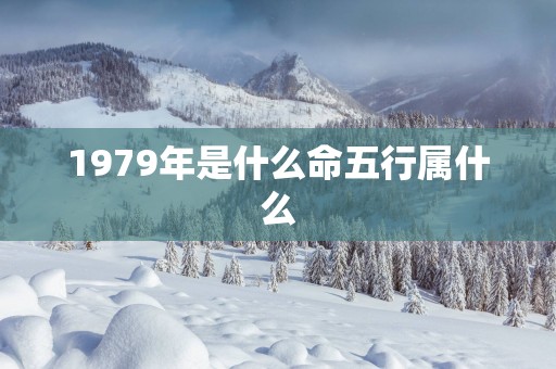 1979年是什么命五行属什么
