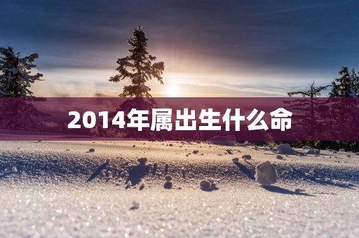 2014年属出生什么命