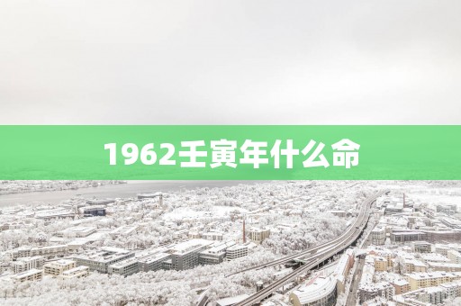 1962壬寅年什么命