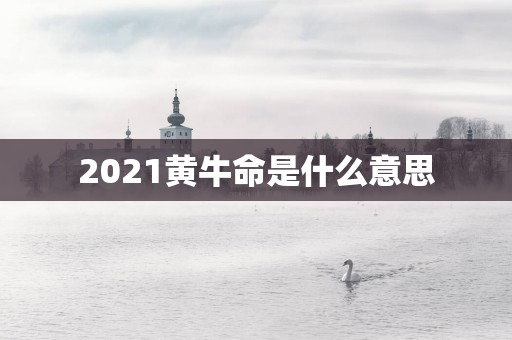 2025黄牛命是什么意思