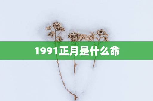 1991正月是什么命
