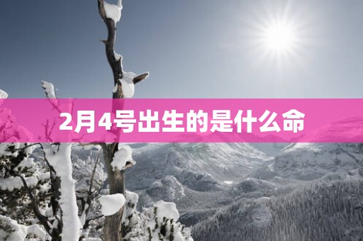 2月4号出生的是什么命