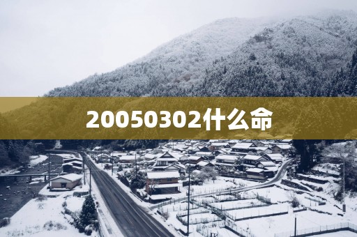 20050302什么命