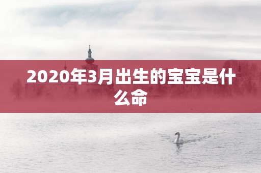 2025年3月出生的宝宝是什么命
