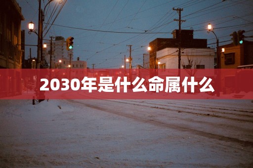 2030年是什么命属什么